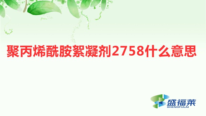聚丙烯酰胺絮凝劑2758什么意思