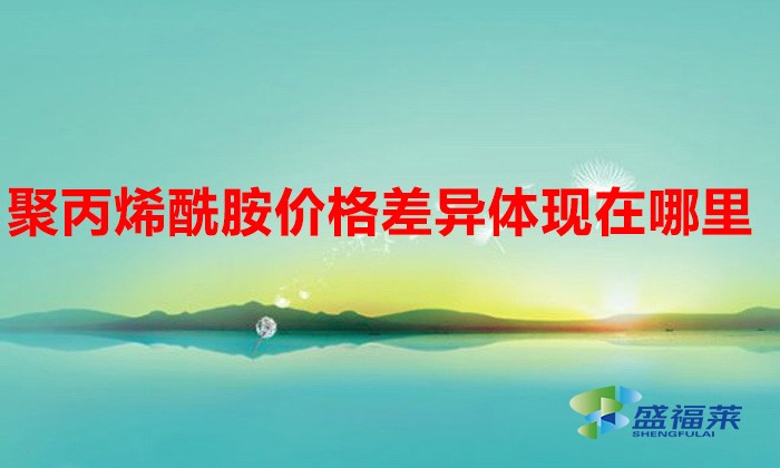 聚丙烯酰胺價格差異體現在哪里