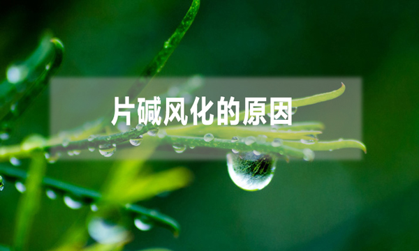 片堿風化的原因（片堿硬化成片怎么避免）