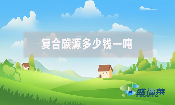 復合碳源多少錢一噸？