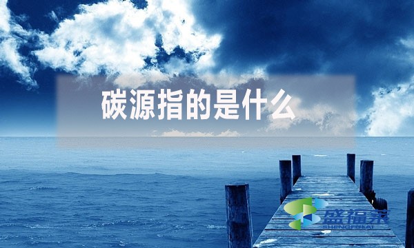 碳源指的是什么？