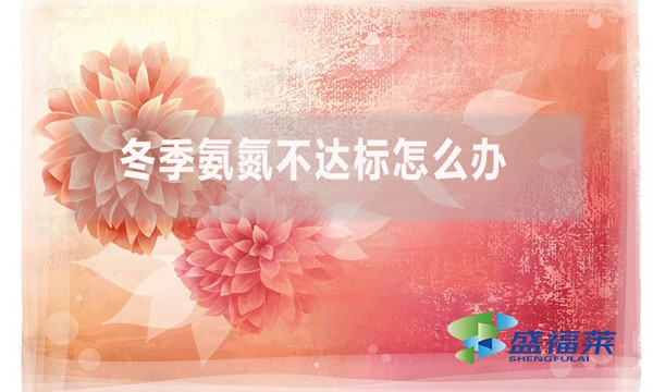 冬季氨氮不達(dá)標(biāo)怎么辦？