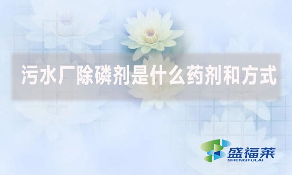 污水廠除磷劑是什么藥劑和方式？