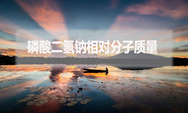 磷酸二氫鈉相對(duì)分子質(zhì)量是什么？應(yīng)該怎么算？