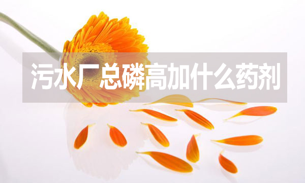 污水廠總磷高加什么藥劑？