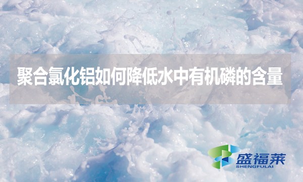 聚合氯化鋁如何降低水中有機磷的含量？