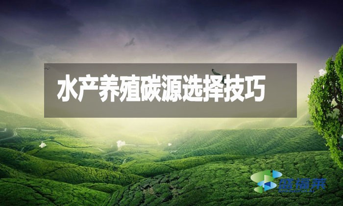 水產(chǎn)養(yǎng)殖碳源選擇技巧：提升效益與可持續(xù)性的關鍵