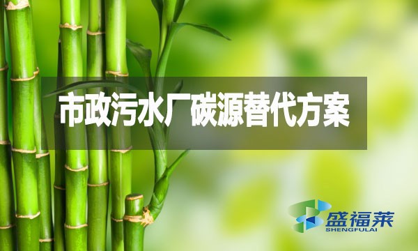 市政污水廠碳源替代方案