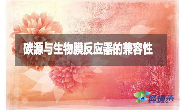 碳源與生物膜反應(yīng)器的兼容性