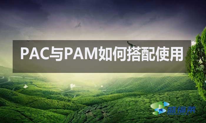 聚合氯化鋁與聚丙烯酰胺：水處理中的黃金搭檔如何高效配合?