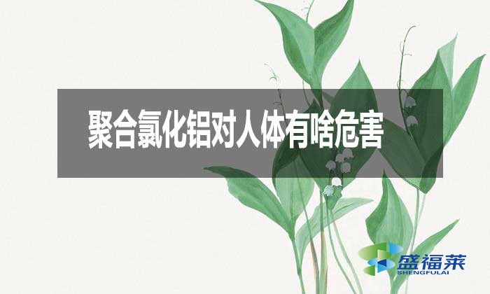 聚合氯化鋁對人體有啥危害？